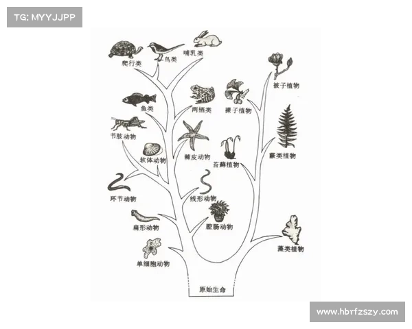 马的脚趾演化结构与其他动物的显著差异及其生物学意义 马的脚趾演化结构与其他动物的显著差异及其生物学意义