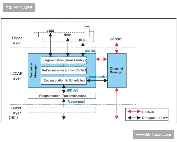 全面解析英联杯参赛方式与规则详解从报名条件到比赛流程全指南